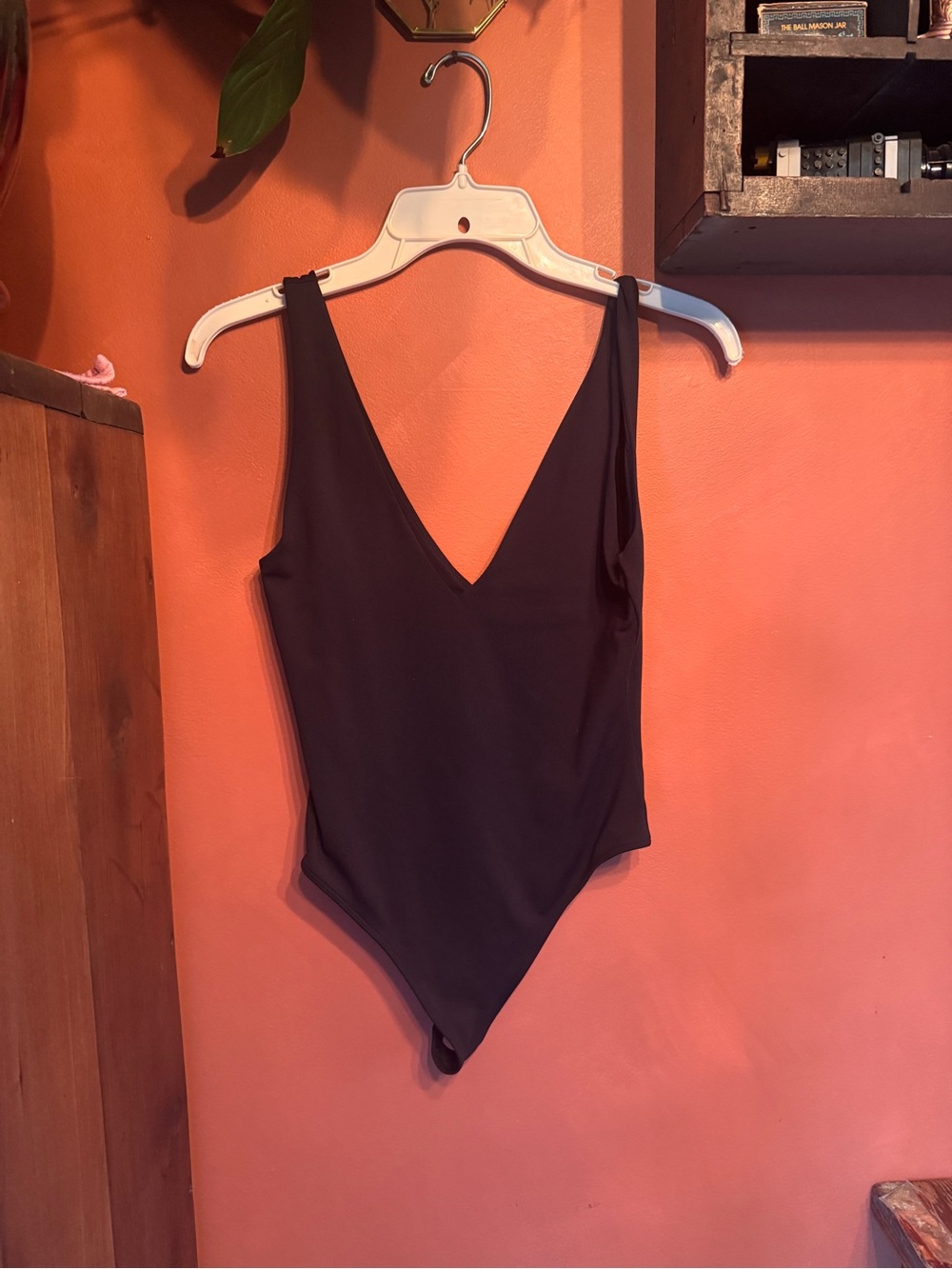 Aritzia Black V-Neck Sleeveless Bodysuit